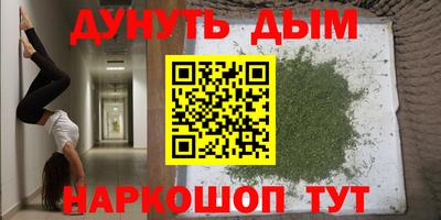хмурый Дубна