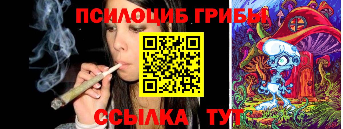 Галлюциногенные грибы MAGIC MUSHROOMS Мыски